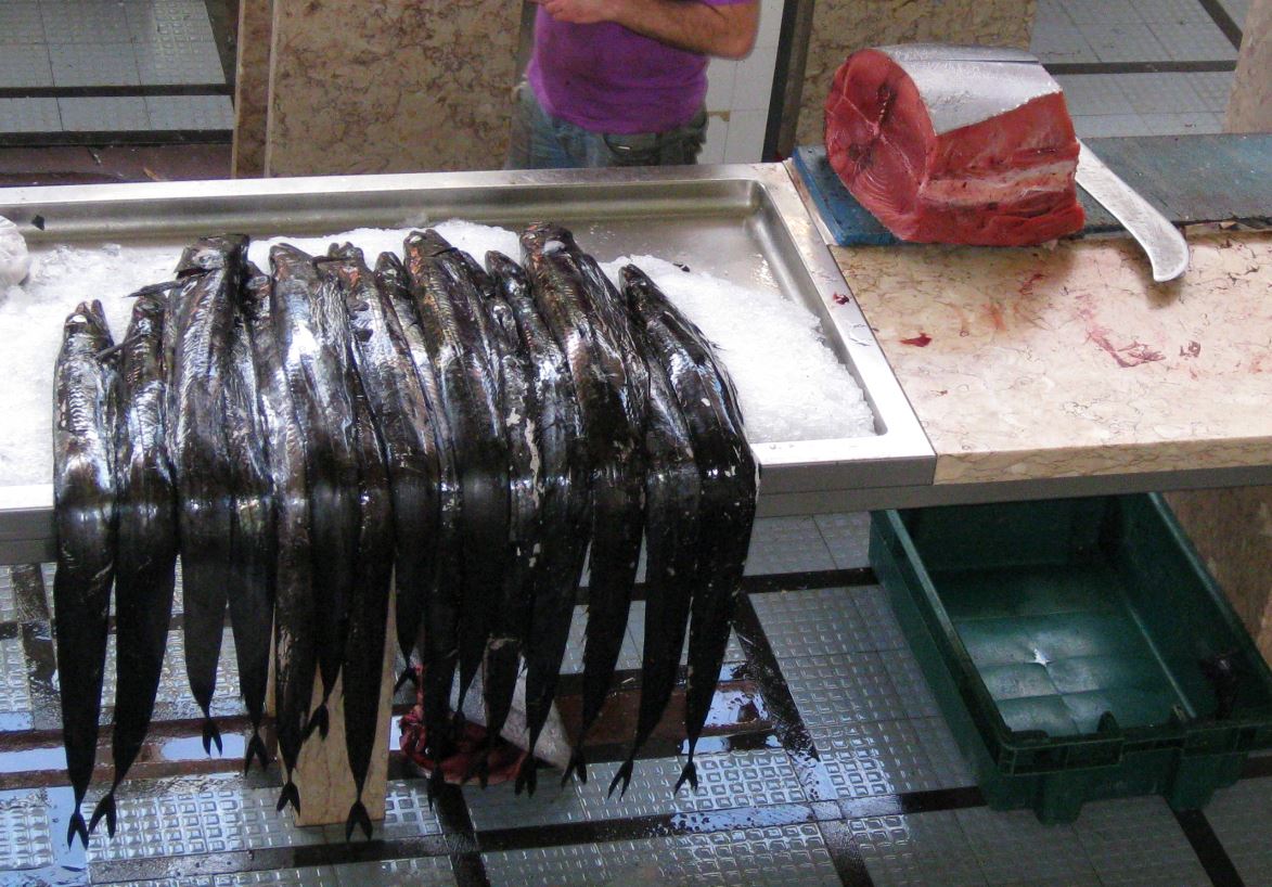 2013 Madeira (142) espada degenfisch