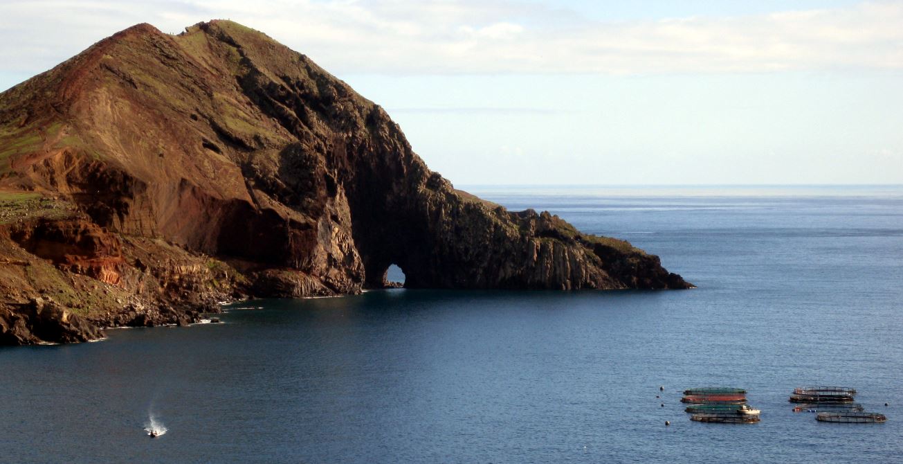 2013 Madeira (72) steilküste