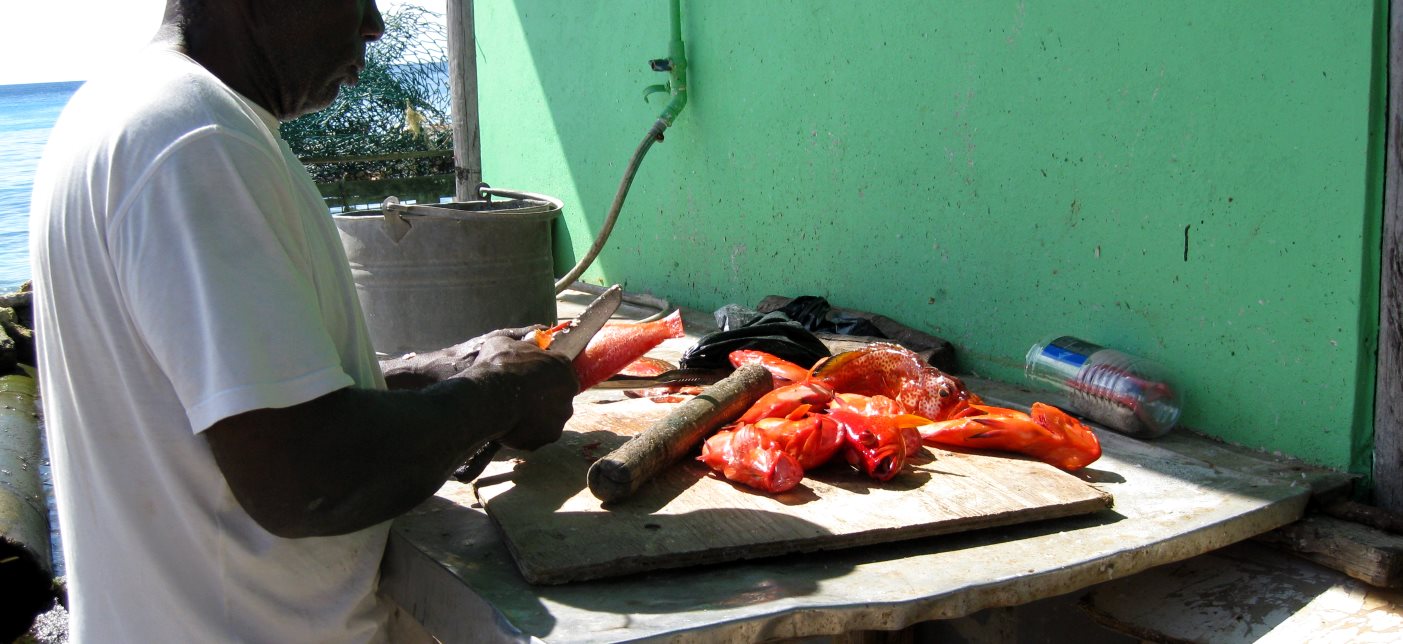 karibik_segeln219_rote_fische